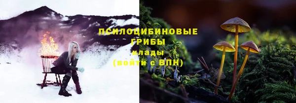 2c-b Арсеньев