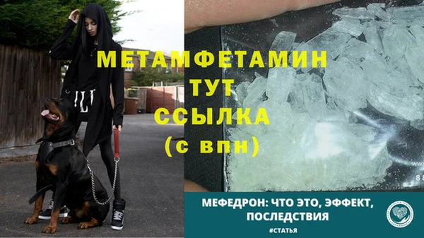 первитин Богородицк