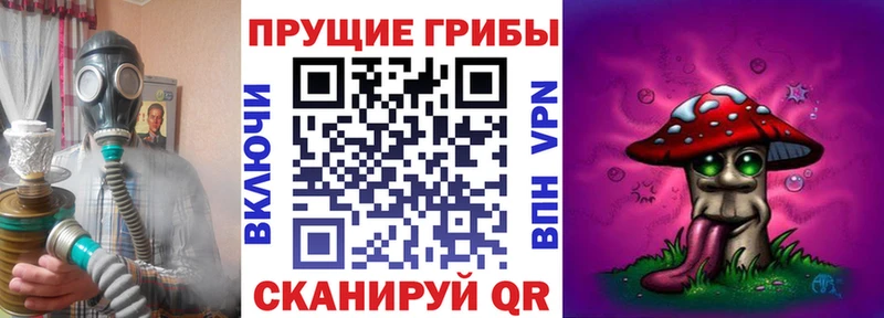 Псилоцибиновые грибы Cubensis Свирск